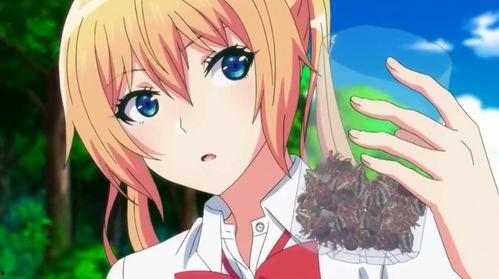 吃瓜少女娱乐姬是谁,网络红人的崛起之路