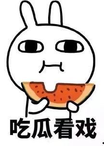 娱乐吃瓜酱正经吗,揭秘娱乐圈背后的真实故事